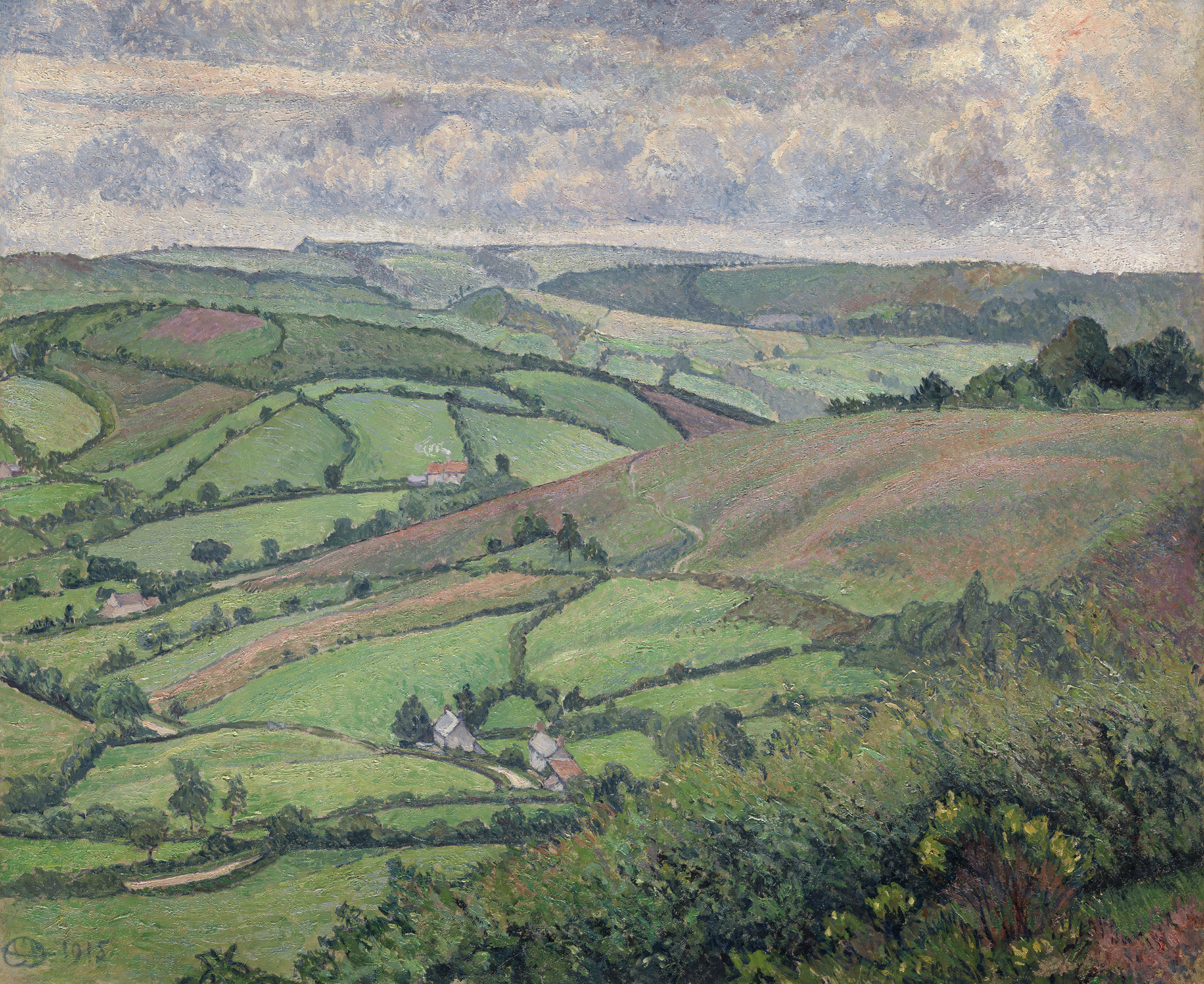 The Heather Patch, Fishpond, Dorset